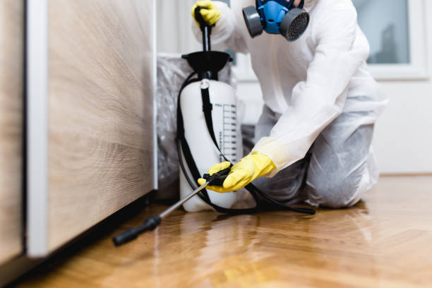 Best Pest Prevention Services  in Burr Ridge, IL