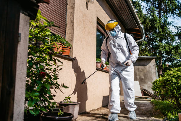 Best Affordable Pest Control Services  in Burr Ridge, IL