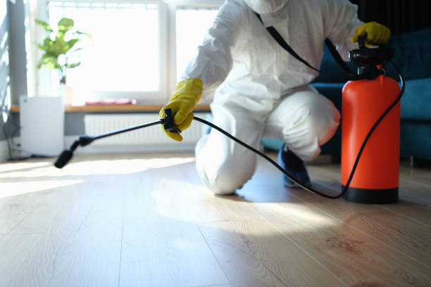 Best Local Pest Control Services  in Burr Ridge, IL