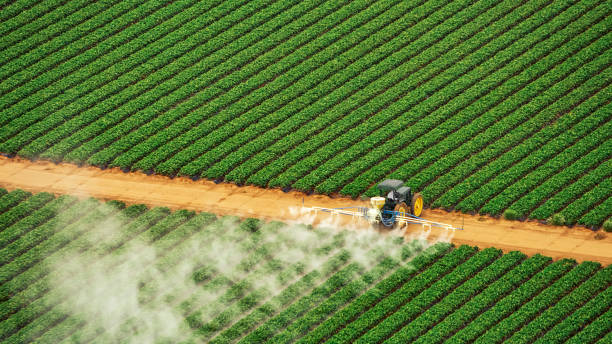 Best Pest Control Treatment  in Burr Ridge, IL