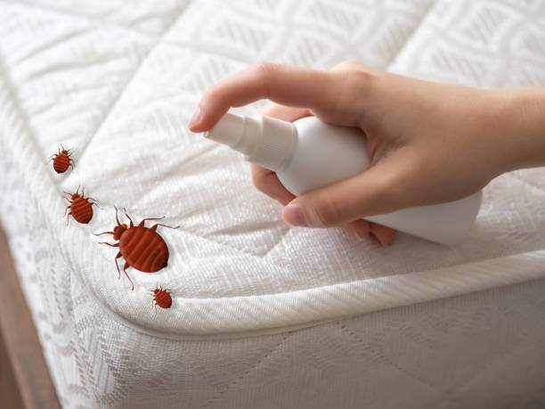 Best Flea Control Services  in Burr Ridge, IL
