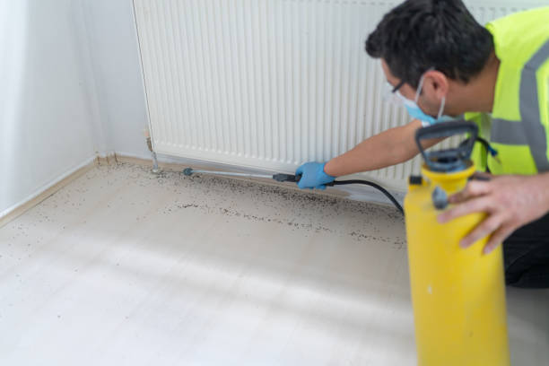 Best Residential Pest Control  in Burr Ridge, IL