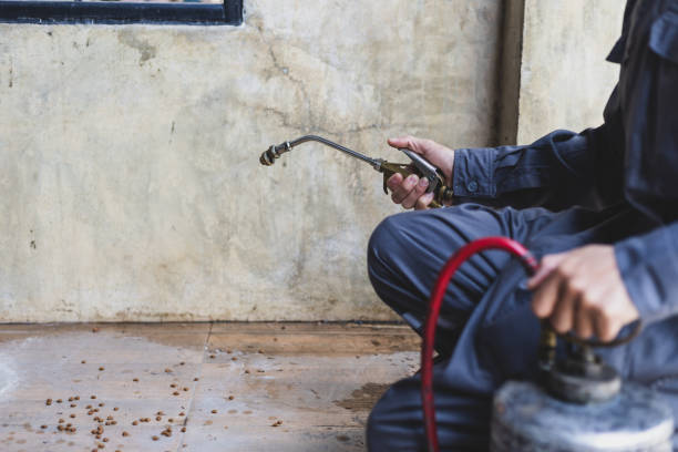 Best Commercial Pest Control Services  in Burr Ridge, IL
