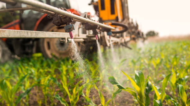 Reliable Burr Ridge, IL Pest Control Solutions