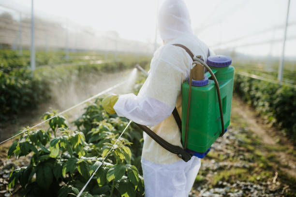 Pest Control for Restaurants in Burr Ridge, IL